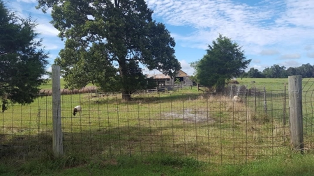 Home & 5 Acres In Izard County Ar Built 1950'S For Sale - image 36