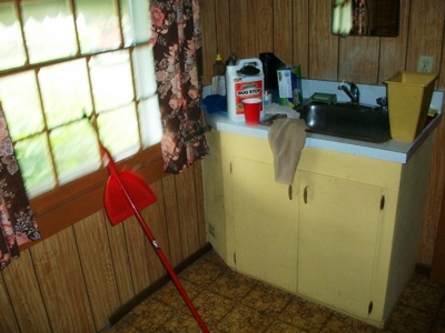 Home & 5 Acres In Izard County Ar Built 1950'S For Sale - image 9