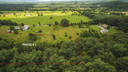 4 Acres for Sale at Auction in Fincastle VA! - image 2