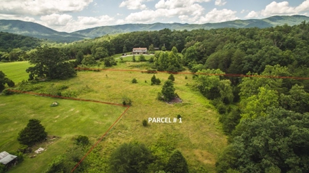 4 Acres for Sale at Auction in Fincastle VA! - image 1