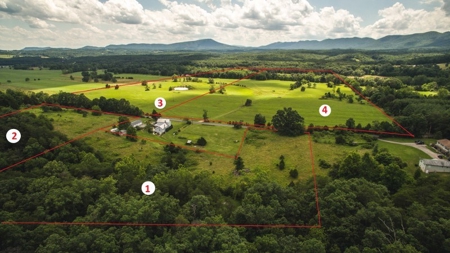 4 Acres for Sale at Auction in Fincastle VA! - image 3