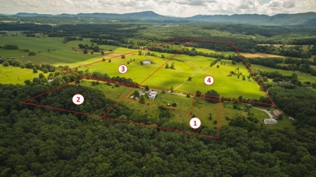 Open Land for Sale at Auction in Fincastle VA! - image 2