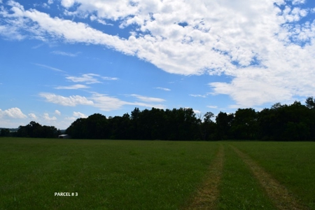 51 Acres of Farmland for Sale at Auction! - image 16