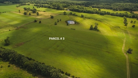 51 Acres of Farmland for Sale at Auction! - image 4