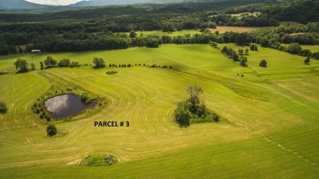 51 Acres of Farmland for Sale at Auction! - image 5