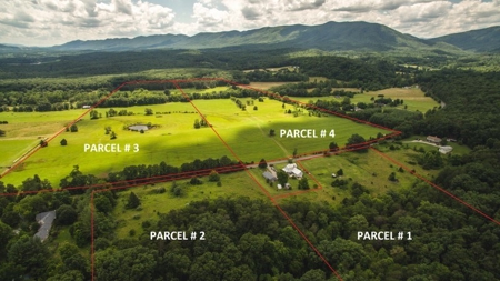 51 Acres of Farmland for Sale at Auction! - image 3
