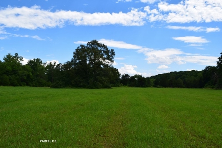 51 Acres of Farmland for Sale at Auction! - image 23