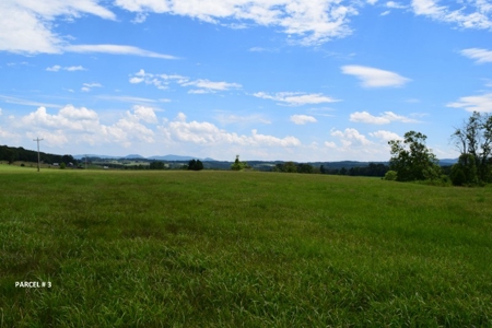 51 Acres of Farmland for Sale at Auction! - image 10