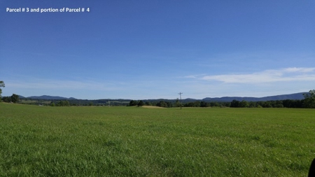 51 Acres of Farmland for Sale at Auction! - image 1