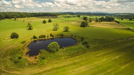 51 Acres of Farmland for Sale at Auction! - image 8