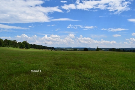 51 Acres of Farmland for Sale at Auction! - image 11
