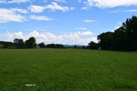 51 Acres of Farmland for Sale at Auction! - image 19