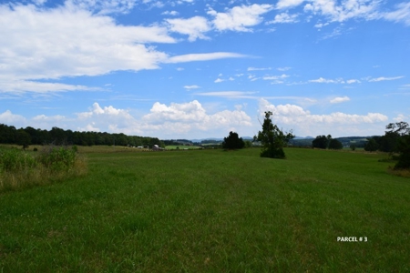 51 Acres of Farmland for Sale at Auction! - image 13