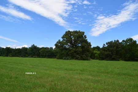 51 Acres of Farmland for Sale at Auction! - image 24