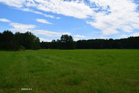 51 Acres of Farmland for Sale at Auction! - image 21