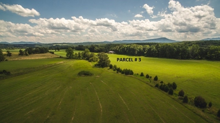 51 Acres of Farmland for Sale at Auction! - image 9