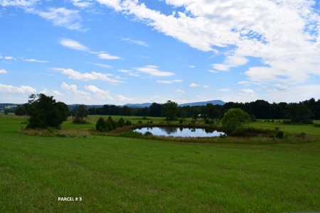 51 Acres of Farmland for Sale at Auction! - image 14