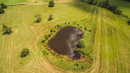 51 Acres of Farmland for Sale at Auction! - image 7