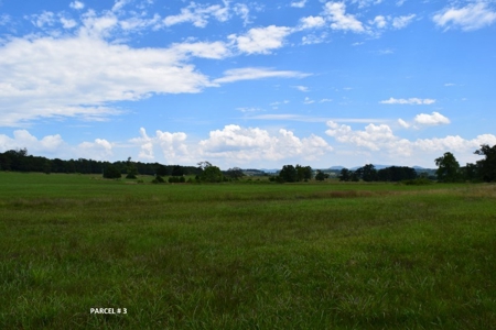 51 Acres of Farmland for Sale at Auction! - image 15