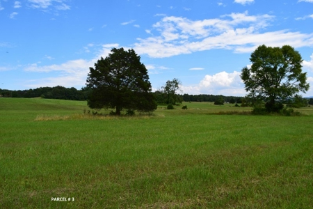 51 Acres of Farmland for Sale at Auction! - image 25