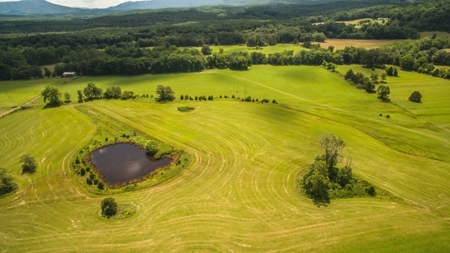 51 Acres of Farmland for Sale at Auction! - image 6