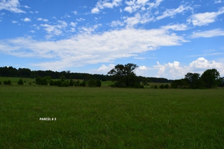 51 Acres of Farmland for Sale at Auction! - image 18