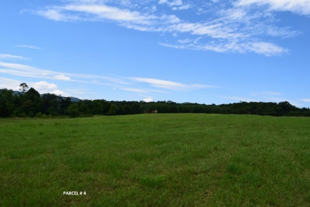 Large Land Auction in Fincastle VA! - image 12
