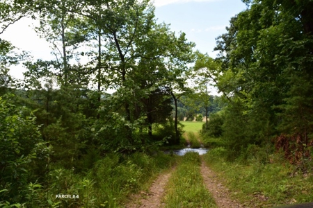 Large Land Auction in Fincastle VA! - image 14