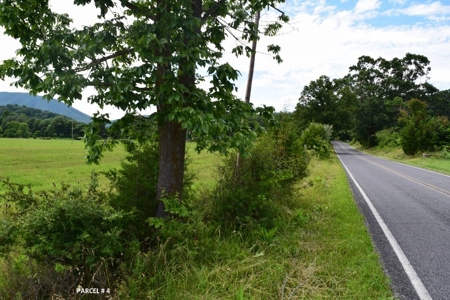 Large Land Auction in Fincastle VA! - image 26