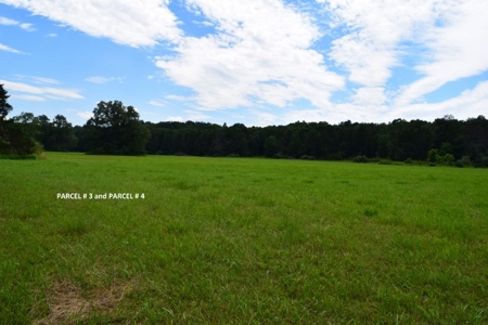 Large Land Auction in Fincastle VA! - image 16