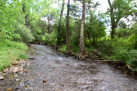 Large Land Auction in Fincastle VA! - image 15