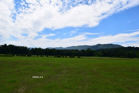 Large Land Auction in Fincastle VA! - image 10