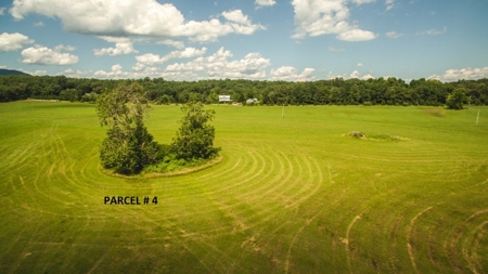 Large Land Auction in Fincastle VA! - image 4