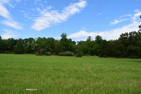 Large Land Auction in Fincastle VA! - image 20