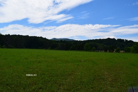 Large Land Auction in Fincastle VA! - image 17