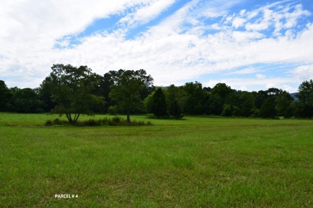 Large Land Auction in Fincastle VA! - image 23