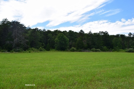 Large Land Auction in Fincastle VA! - image 19