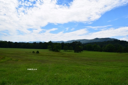 Large Land Auction in Fincastle VA! - image 13