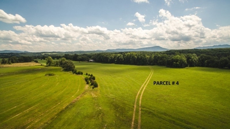 Large Land Auction in Fincastle VA! - image 5