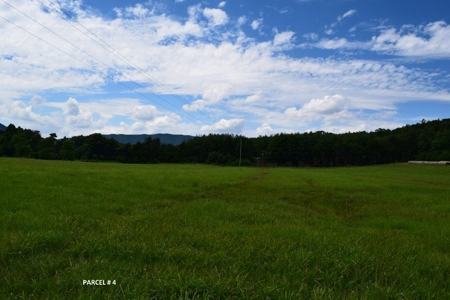 Large Land Auction in Fincastle VA! - image 25