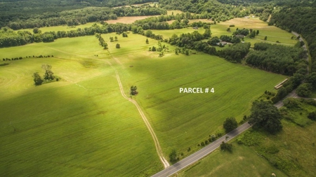 Large Land Auction in Fincastle VA! - image 3