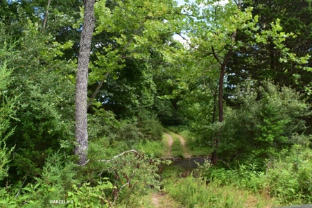 Large Land Auction in Fincastle VA! - image 21