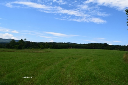 Large Land Auction in Fincastle VA! - image 11
