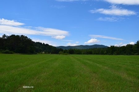 Large Land Auction in Fincastle VA! - image 18
