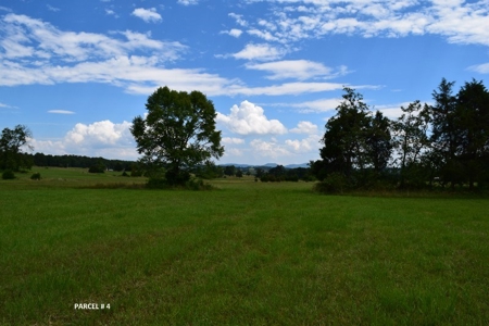 Large Land Auction in Fincastle VA! - image 24