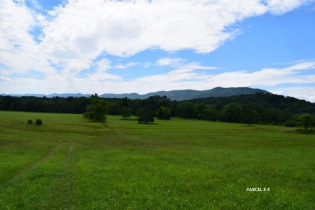 Large Land Auction in Fincastle VA! - image 9