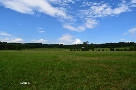 Large Land Auction in Fincastle VA! - image 22