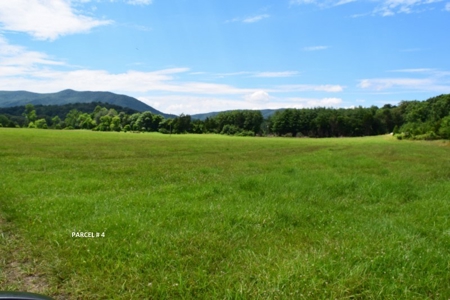 Large Land Auction in Fincastle VA! - image 8