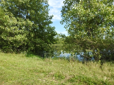 Murdock Land Auction - image 10