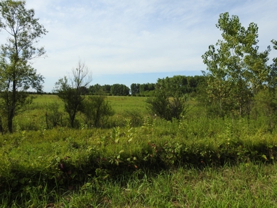Murdock Land Auction - image 9